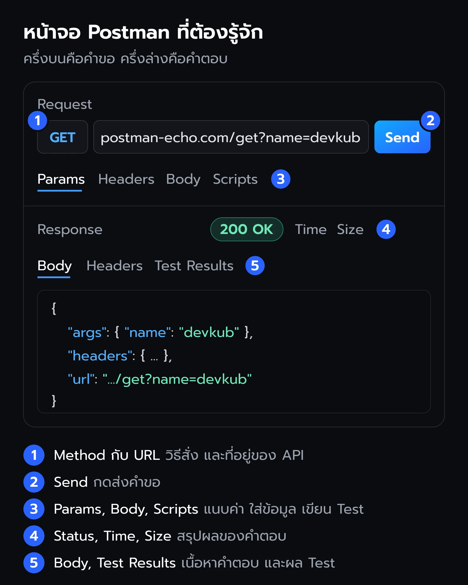 หน้าจอ Postman แบ่งเป็นส่วน Request ด้านบน และส่วน Response ด้านล่าง